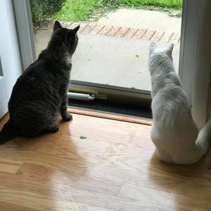 Meet your Posher, Nelda